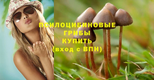 a pvp Баксан